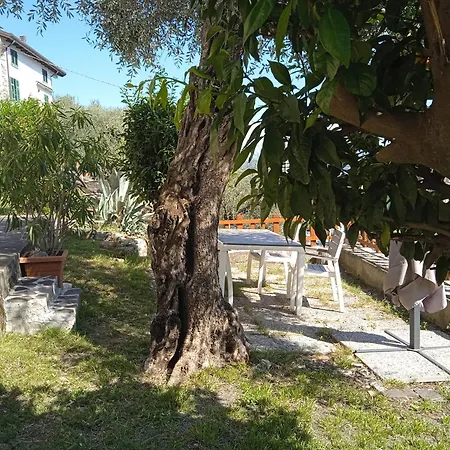 شقة Gli Ulivi Del Blu Parking Garden Near The Sea لا سبيتسْيا
