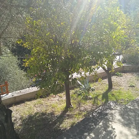 Gli Ulivi Del Blu Parking Garden Near The Sea شقة *